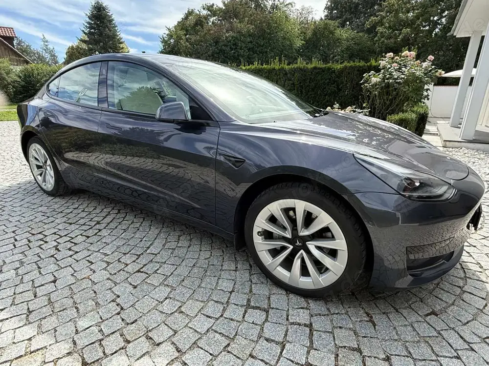 Tesla Model 3 Model 3 Standard Reichweite Plus Hinterradantrieb