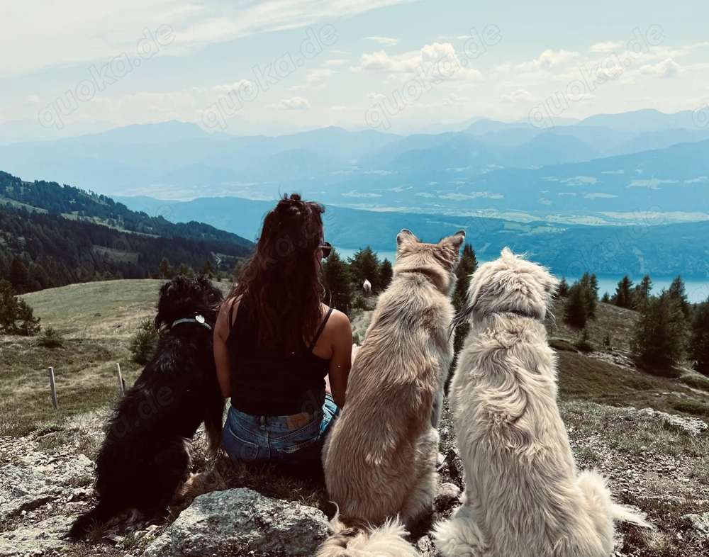 Hundebetreuung mit Herz!