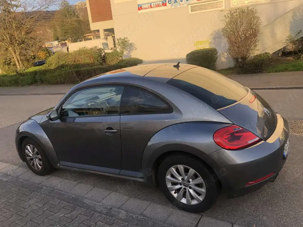 Volkswagen Beetle