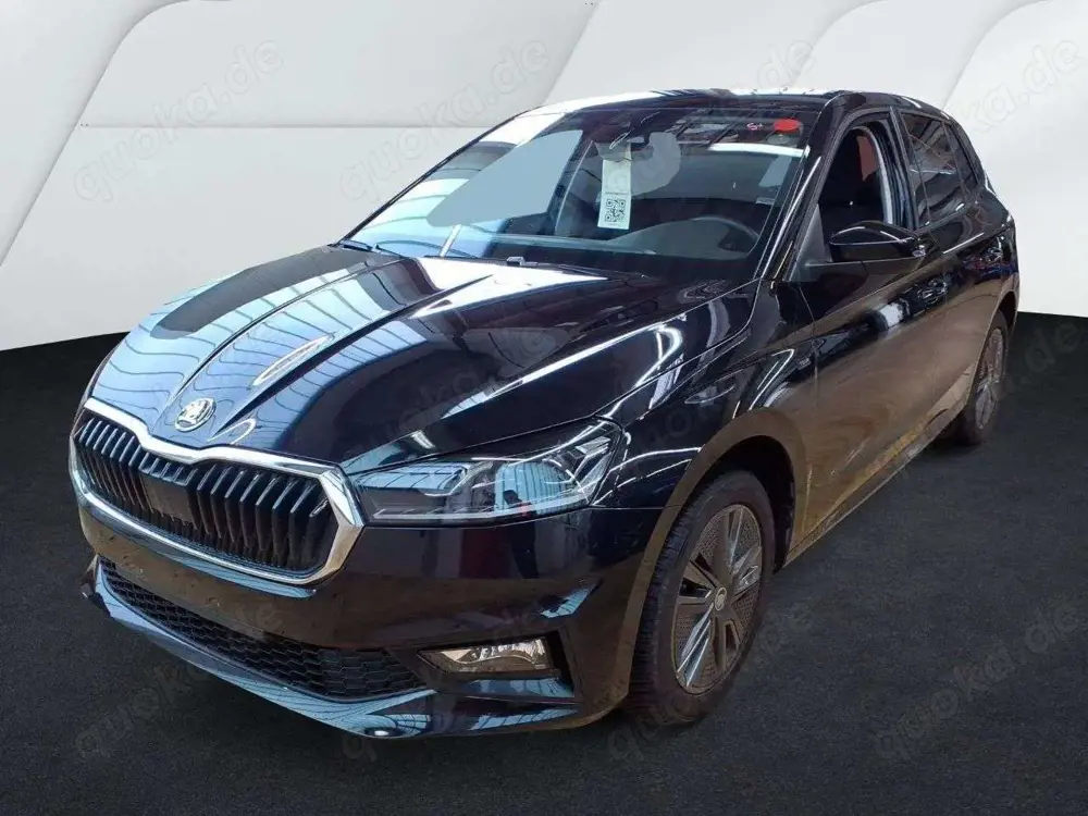 Skoda Fabia Tour Selection 1.0TSI DSG Navi SHZ LED