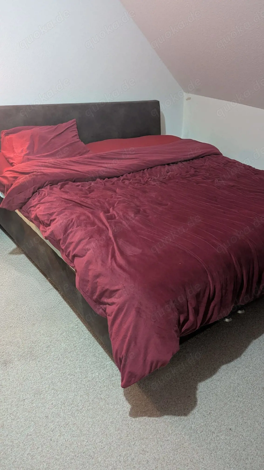 Blowjob Only für 200 Euro