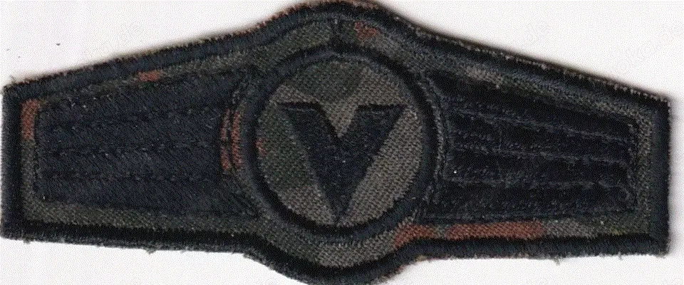 Bundeswehr, Tätigkeitsabzeichen, Versorger, Flecktarn
