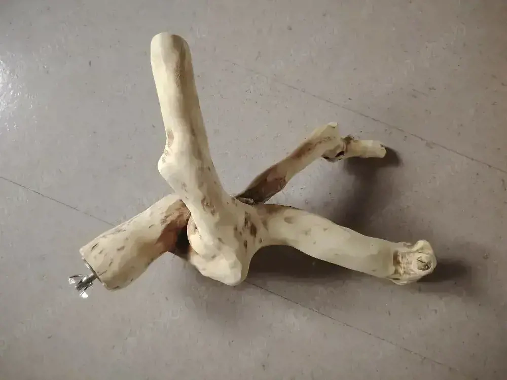 Java Kletterstange, Sitzstange 