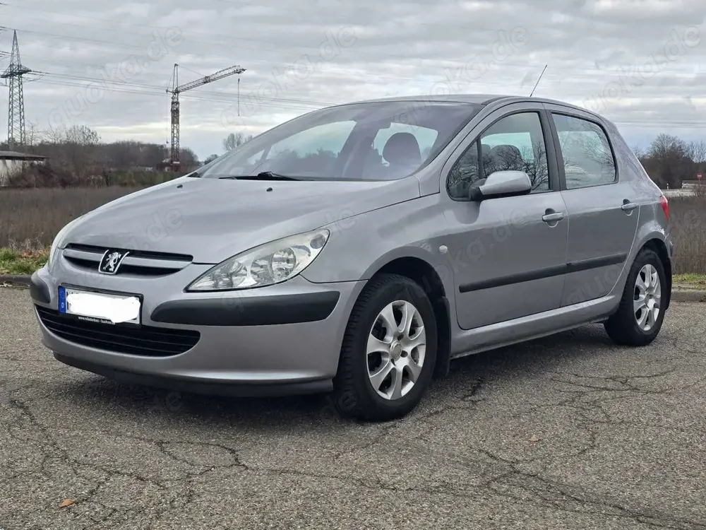 Peugeot 307 2.0 HDi 110 Esplanade DPF wenig KM Klima