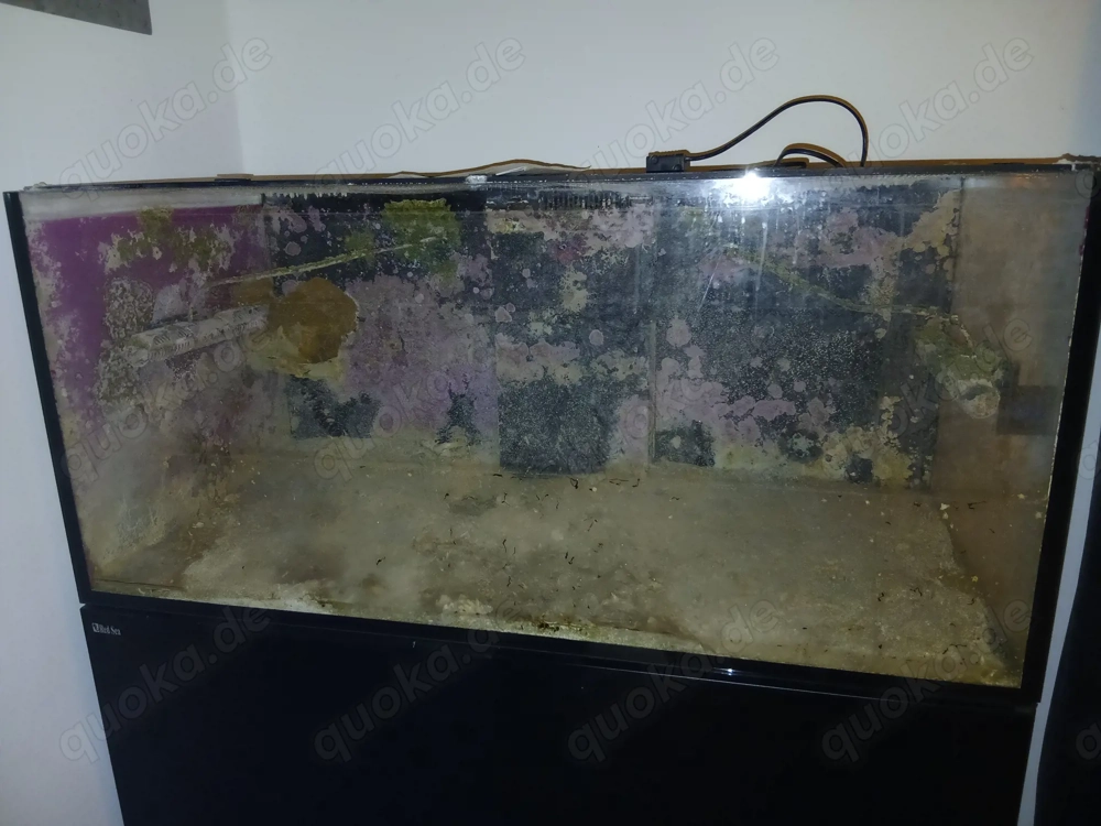 Red Sea Reefer 425 XL Aquarium