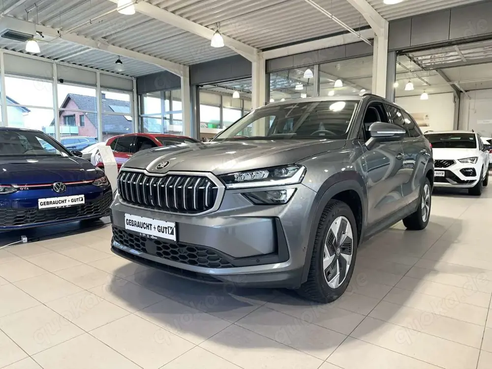 Skoda Kodiaq 2.0 TDI 4x4 Matrix Navi StaHZ 360° AHK