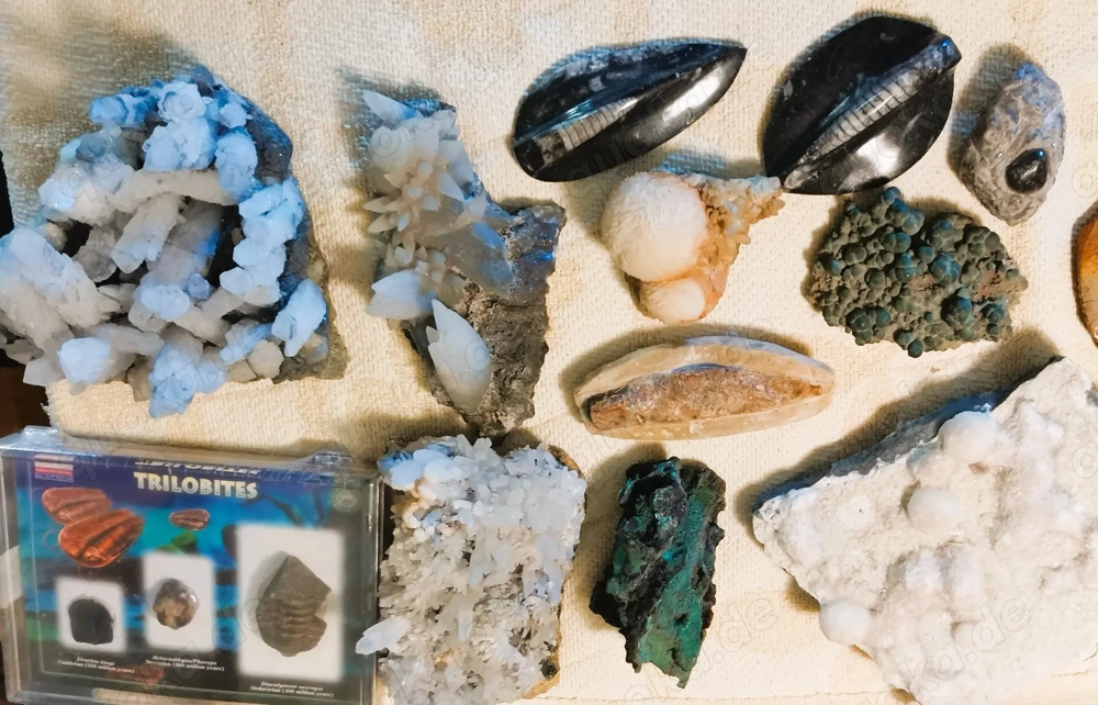 Mineralien und Fossilien Konvolut ca. 100 Objekte