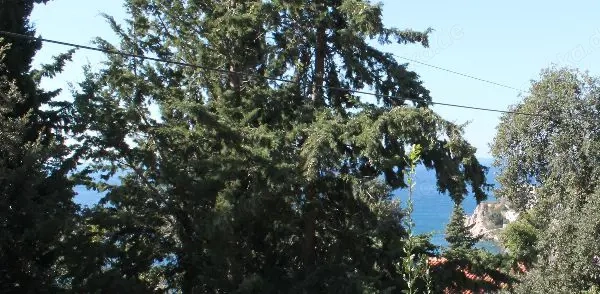 Erschlos. Baugrundstuck 910m2 Strand 700m Meerblick