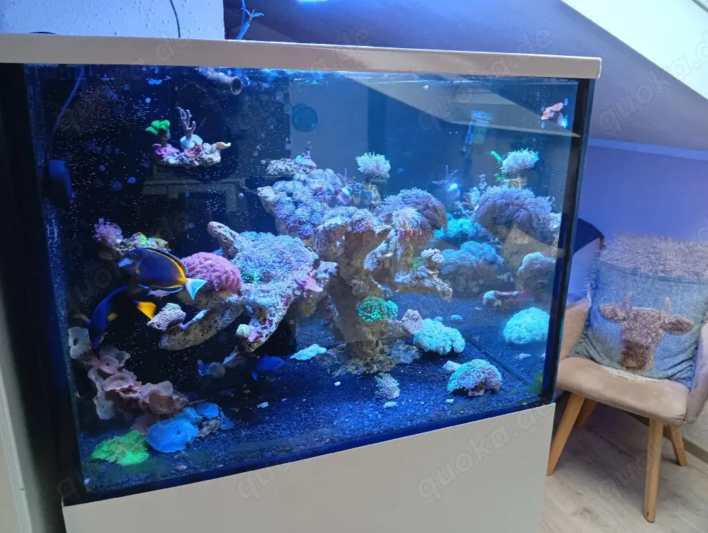 Meerwasser Salzwasser 