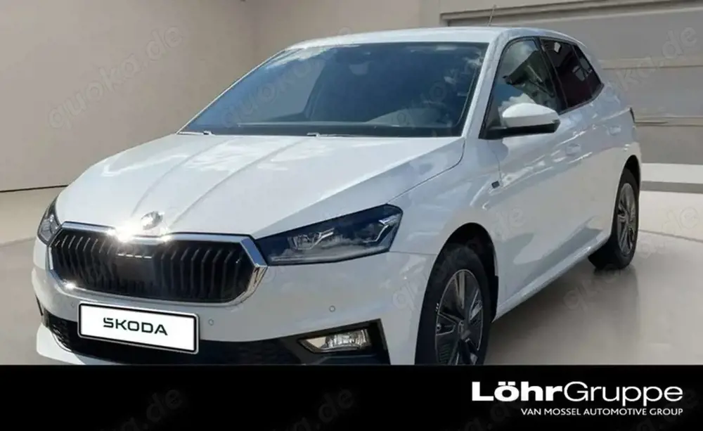 Skoda Fabia Tour 1.0 TSI 116PS DSG Fahrassi Winter