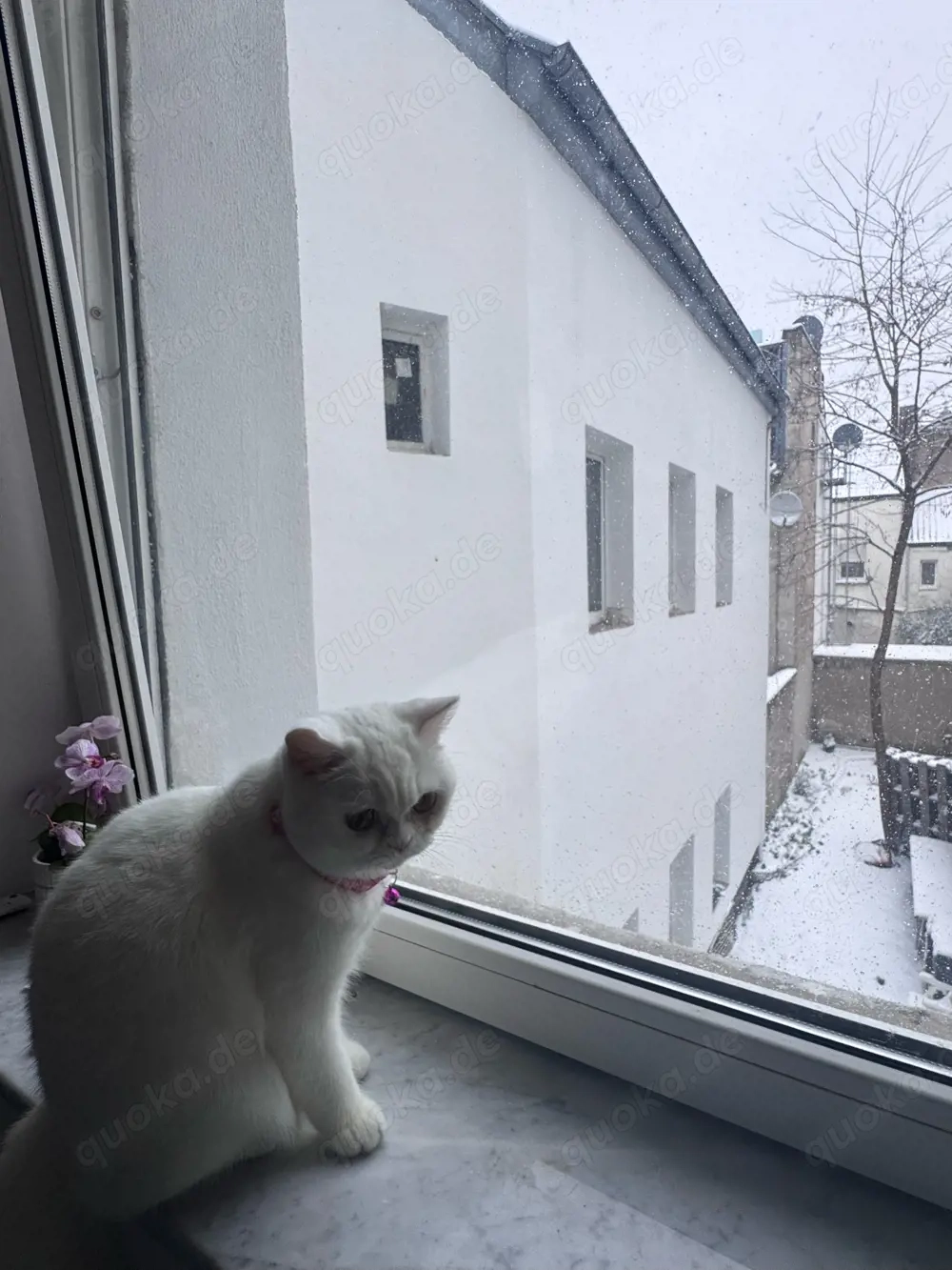 nicht verkaufen 
