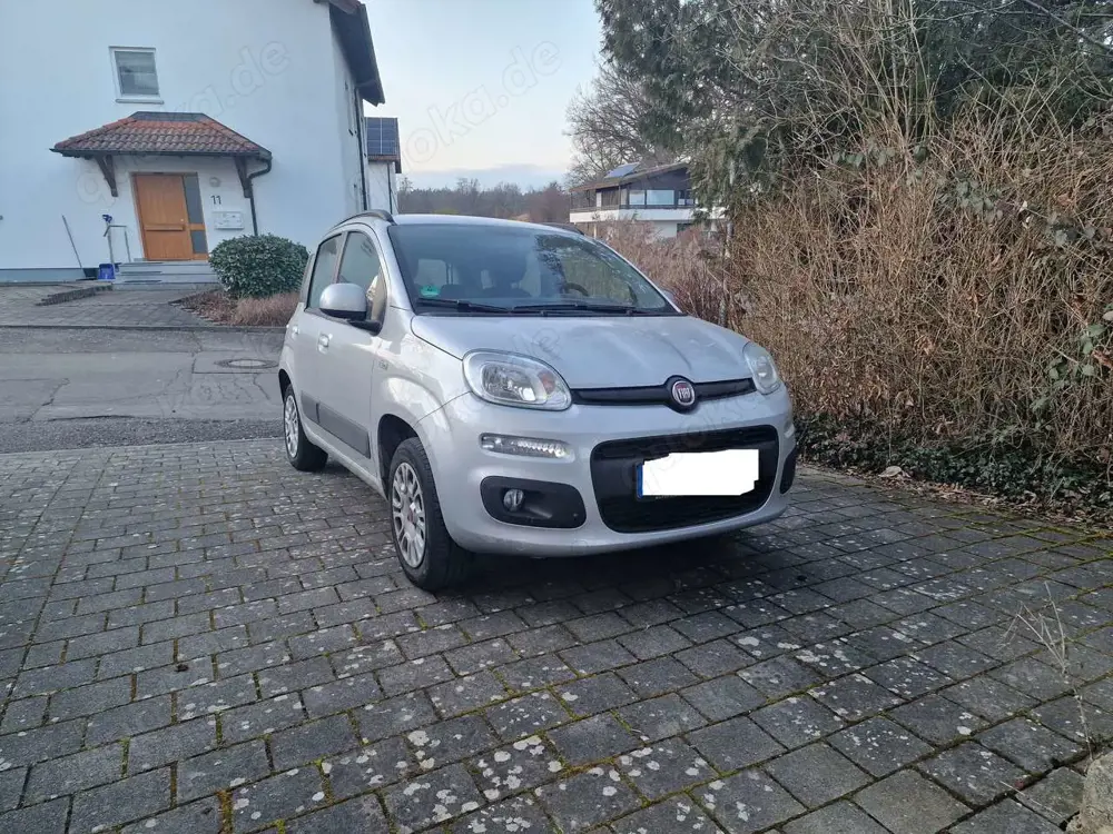 Fiat Panda Panda/Pandina 1.2 Easy