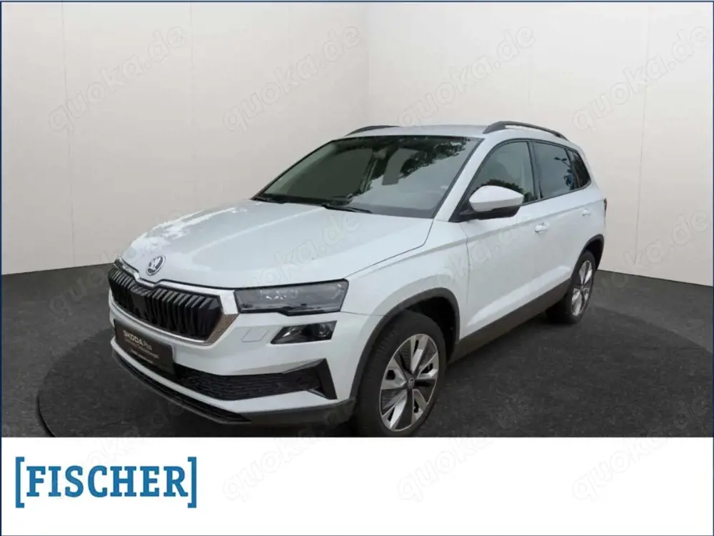 Skoda Karoq 1.5TSI DSG Style LED Navi Rear View SHZ