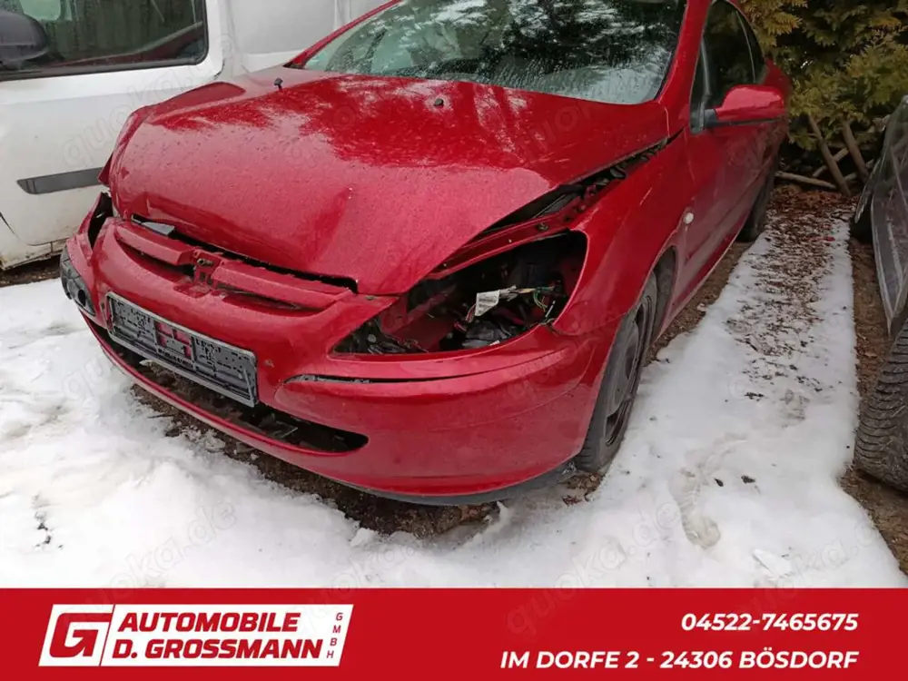 Peugeot 307 CC Cabrio-Coupe 1.6 Filou 110