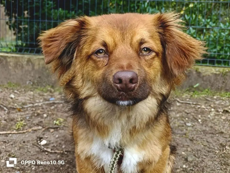 Der kleine HORUS freut sich auf Liebe