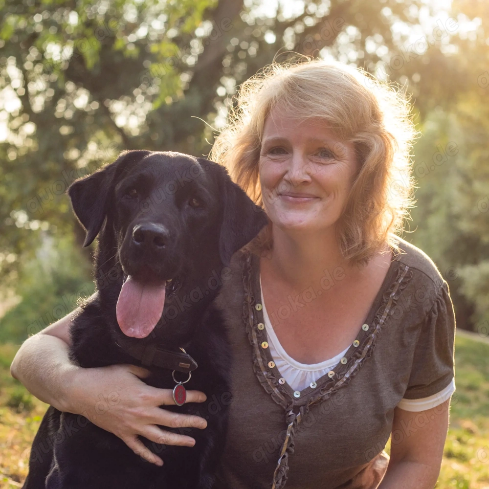 Verlässlicher Dogwalker gesucht? 68723 und Umgebung!