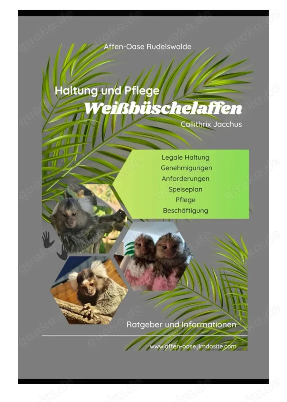 Haltung und Pflege von Weissbüscheläffchen,A5, Hardcover,neu 