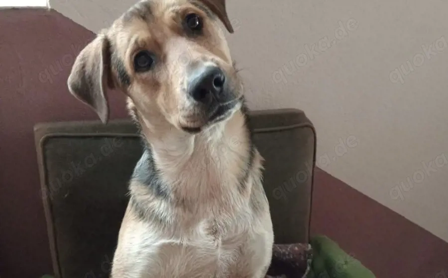 Verliebst du dich in Henry?