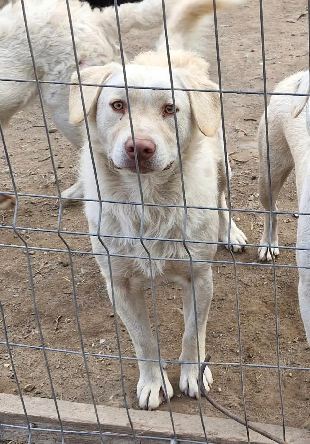 Bim möchte endlich das Leben genießen