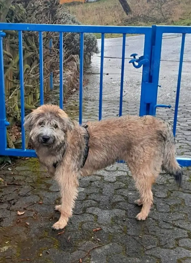 Tucker braucht erfahrene Menschen 