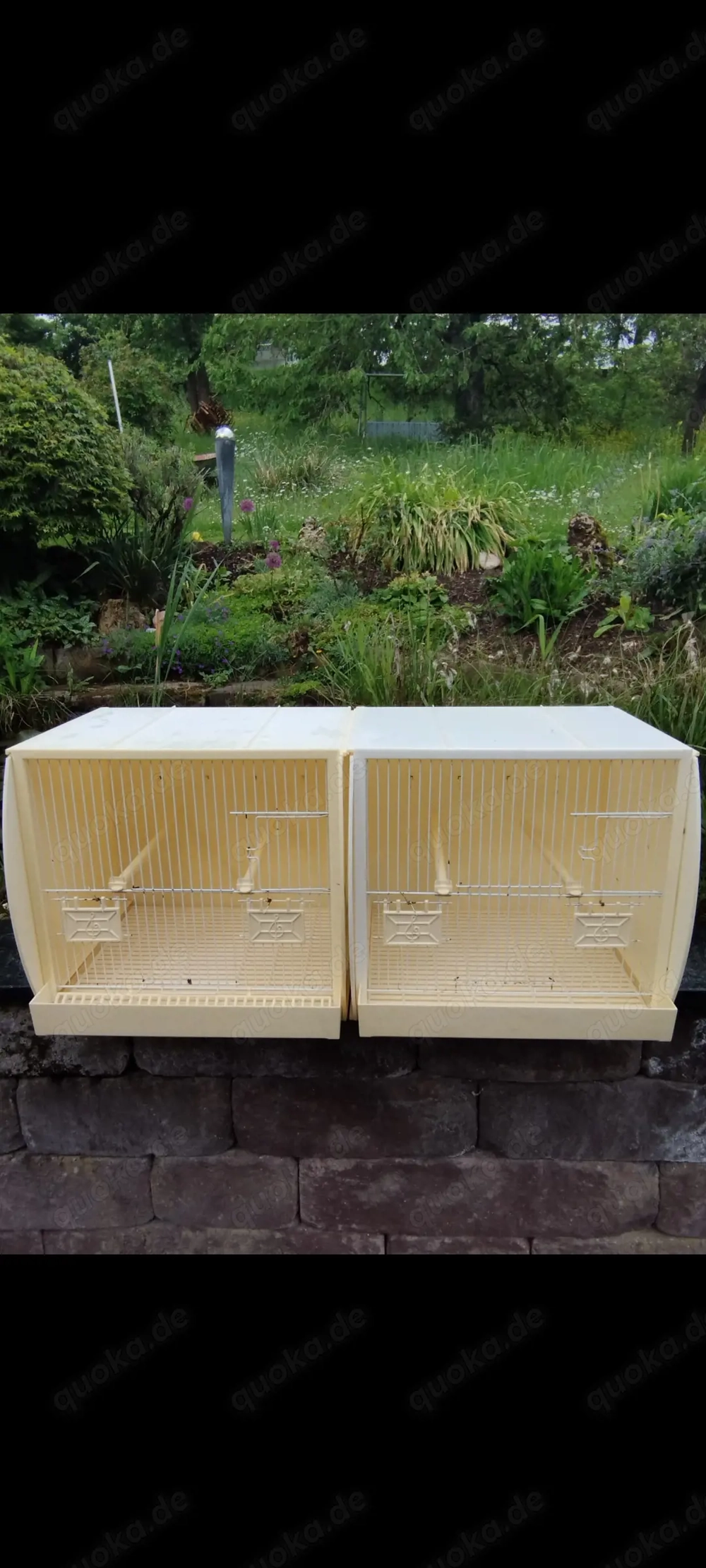 Zuchtboxen 