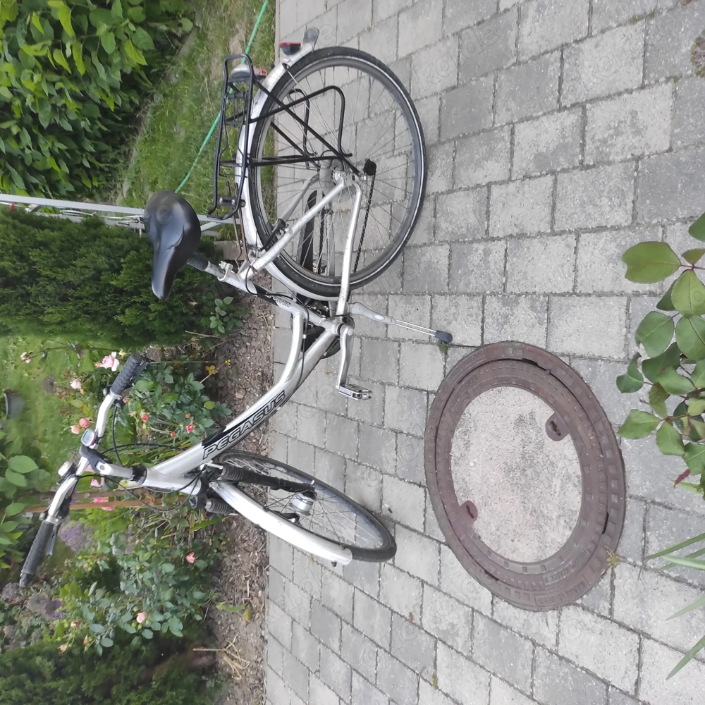 Fahrrad Girls Pegasus 28 Zoll