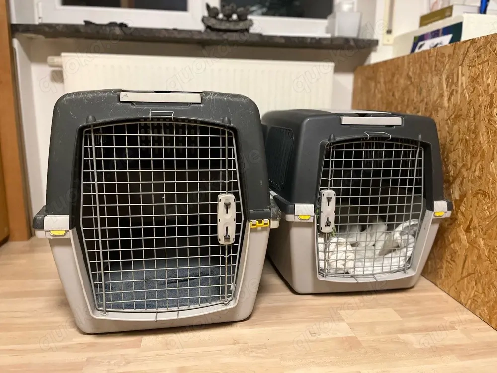 2 Hunde Transport Boxen