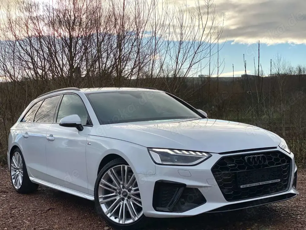 Audi A4 Avant 40 TFSI*quattro*S line*STHZ*BO*19 Zoll