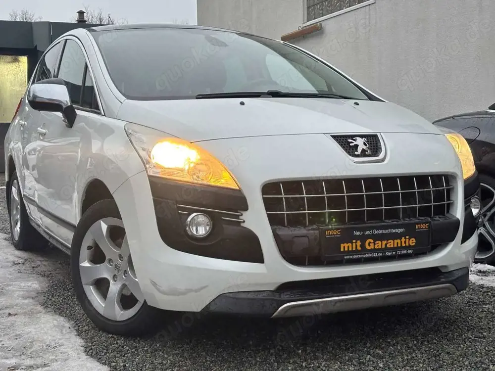 Peugeot 3008 Platinum*SHZ*MFL*HEA-UP*PDC*KLIMAU*ALU*PANO