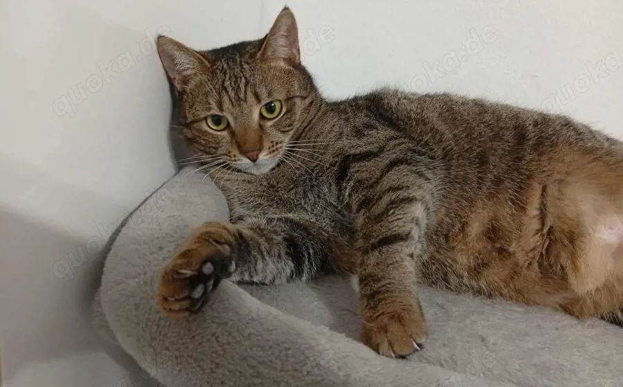 Mylene: Schüchtern aber von Herzen freundlich