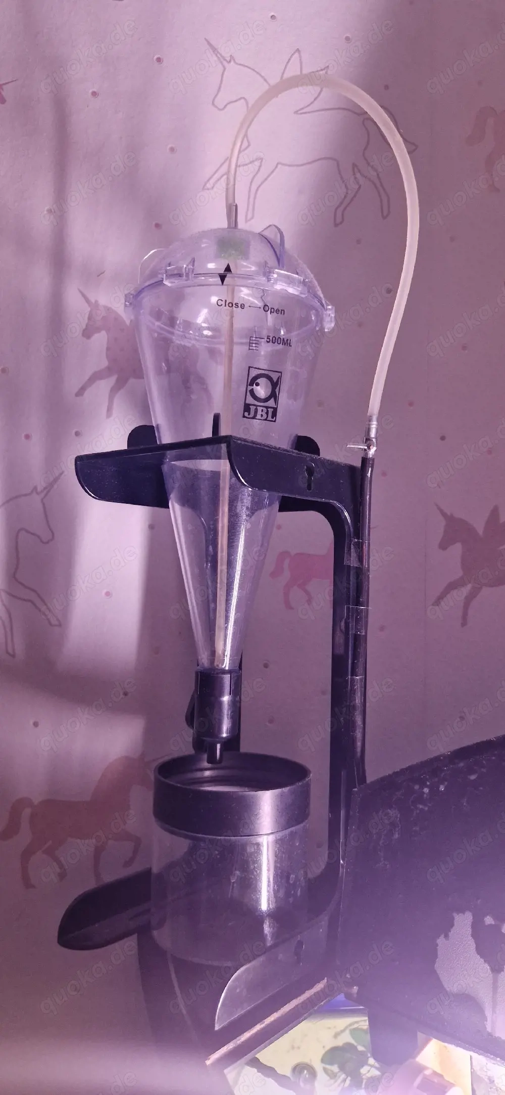 Aquarium 190l Eck zu verschenken  Komplett mit Fische un Pflanzen  Decko 