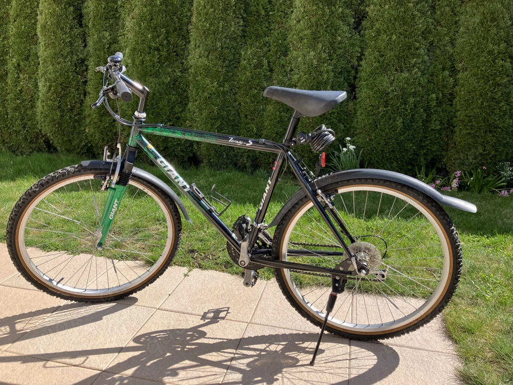 Mountainbike Jugend  Herren GIANT "Terrago" 26"