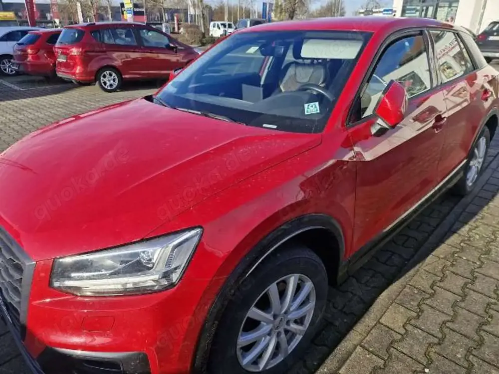 Audi Q2 1,5 TFSI 35 design 8-fach bereift AHK Navi