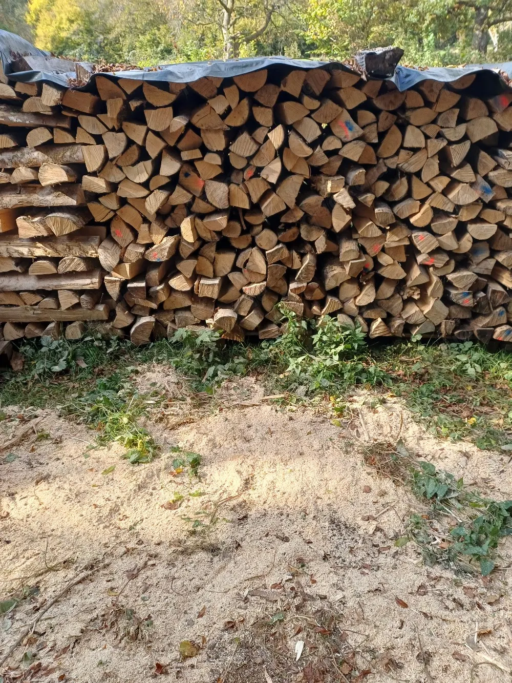 Brennholz 