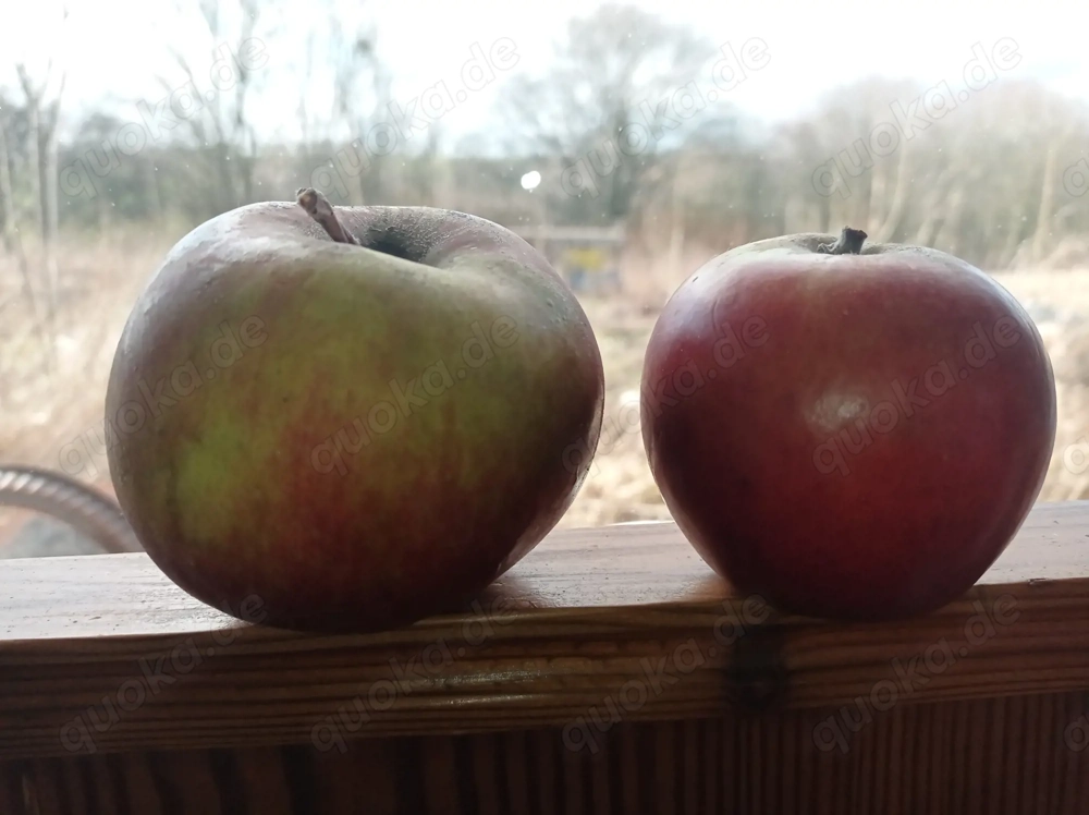 wer braucht das nicht?