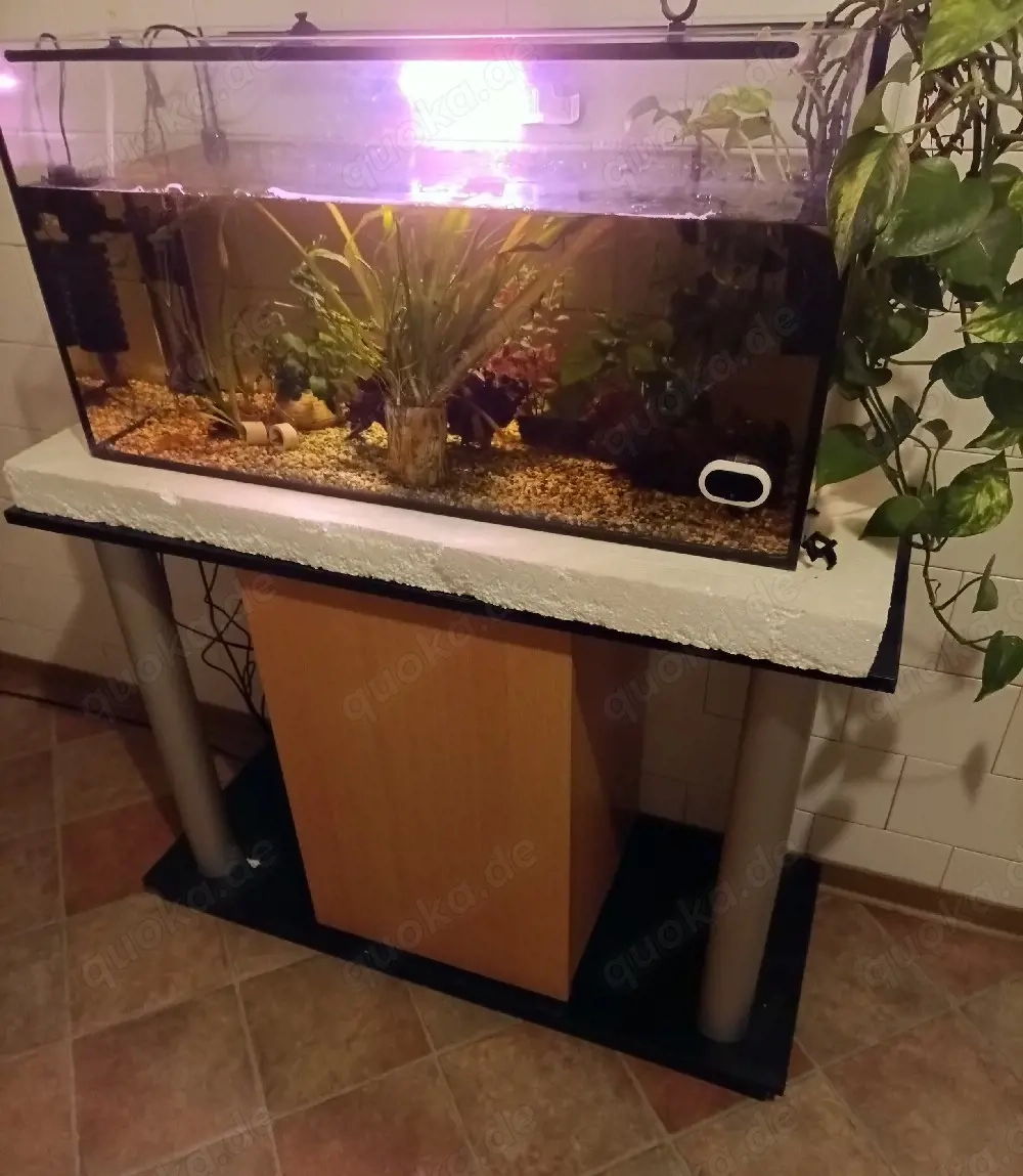 Aquarium mit Unterschrank 