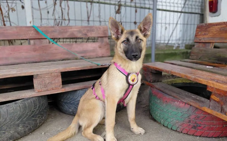 Yumiko - süß und menschenbezogen