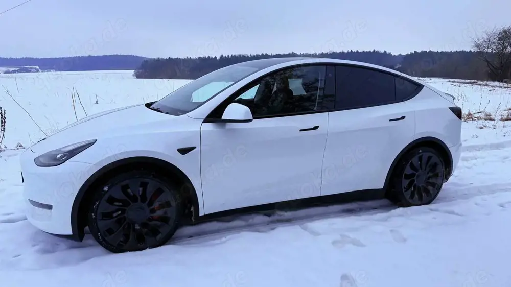 Tesla Model Y Model Y Performance Dual Motor AWD