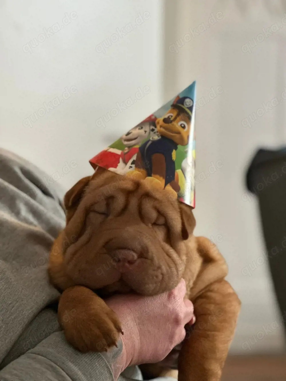 kleiner knautschkopf odini