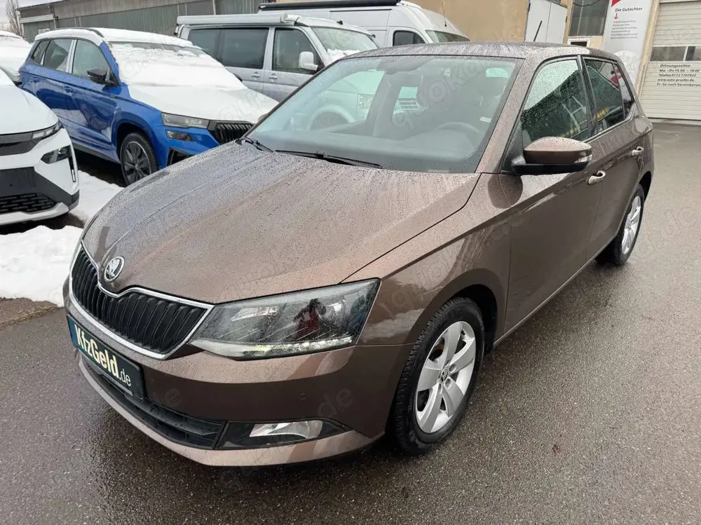 Skoda Fabia Style 1.0 TSI DSG, PDC, GRA, Sitzheizung