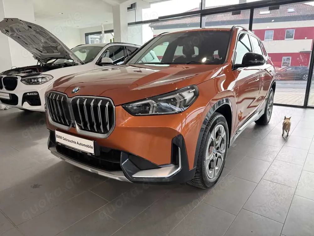 BMW X1 xDrive23d   xLine Head-Up HK HiFi DAB LED