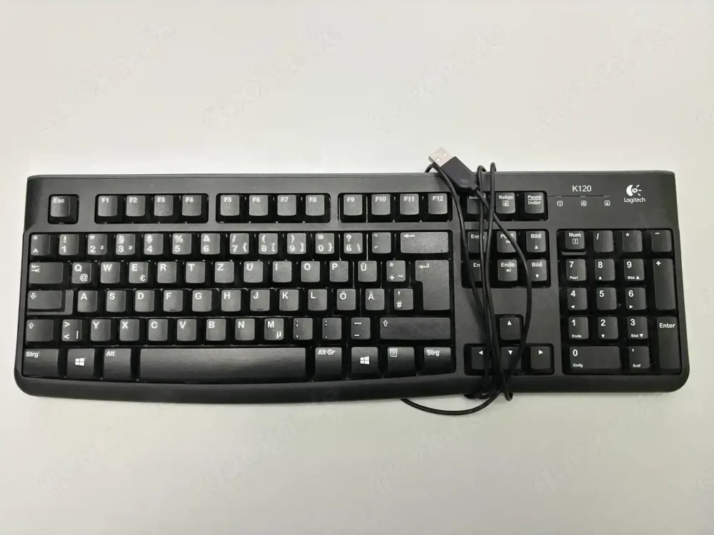 Tastaturen Logitech K12056 5 Stück