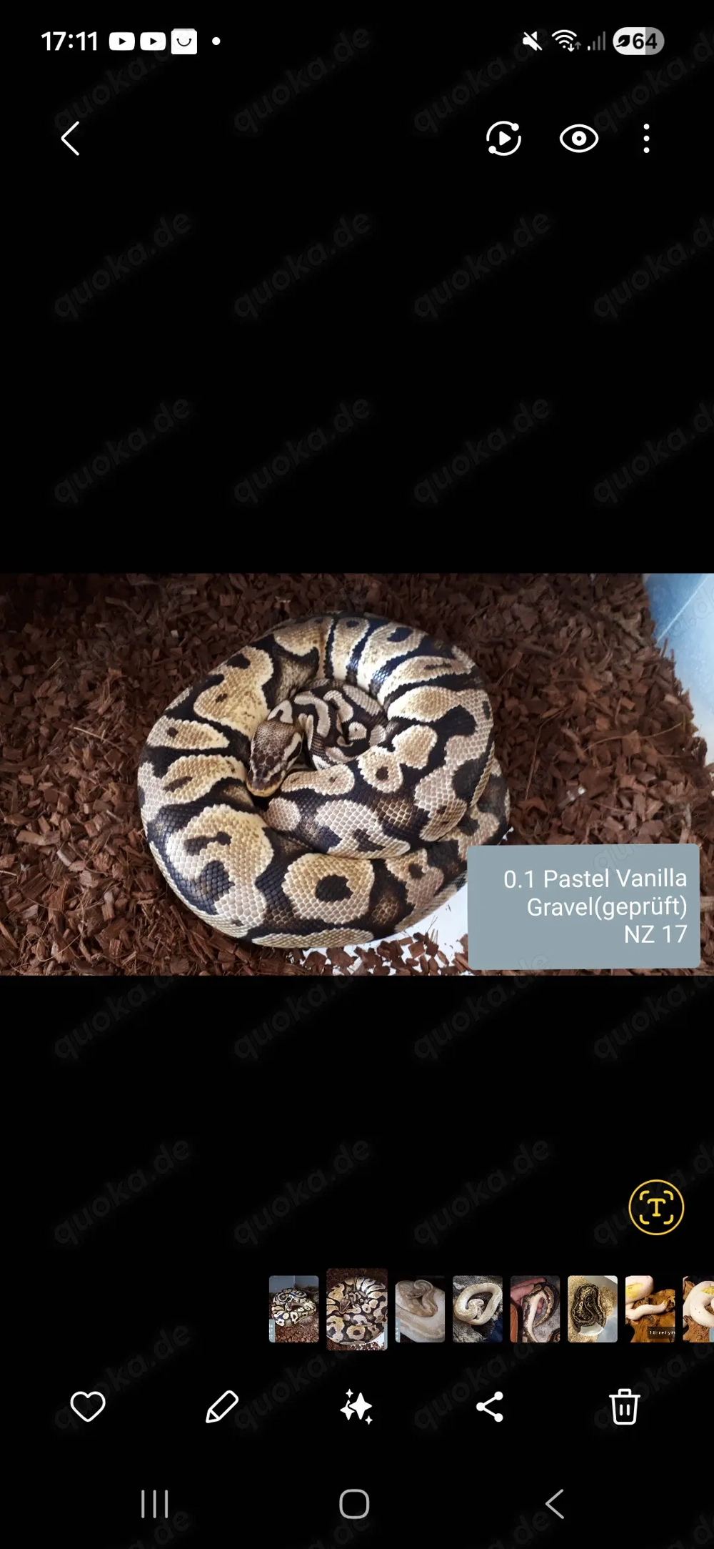 Pastell Vanilla gravel