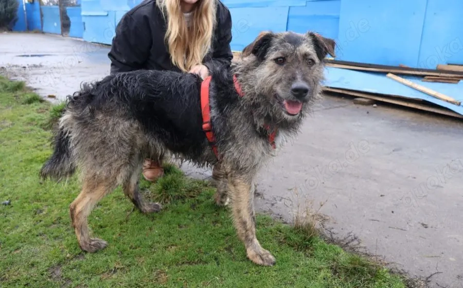 Wo Mika ist, ist das Herz zuhause.