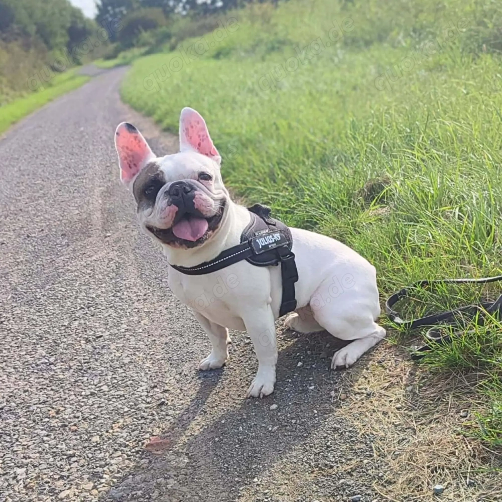 Deejay - ist genügsam