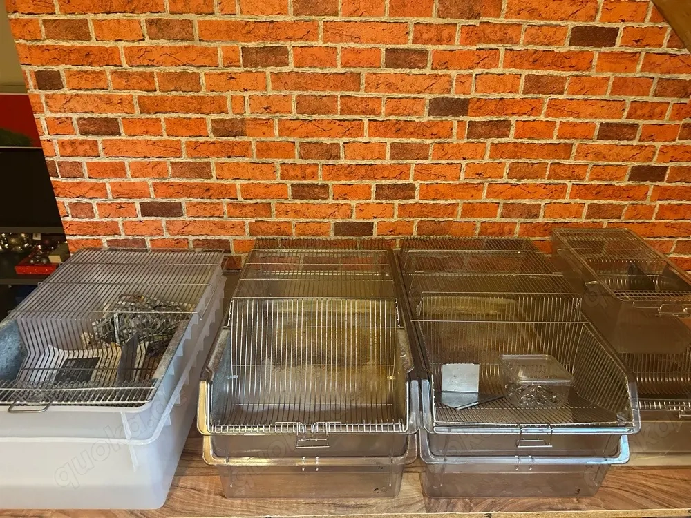 Makrolon Käfig zur zucht für Mäuse u Ratten