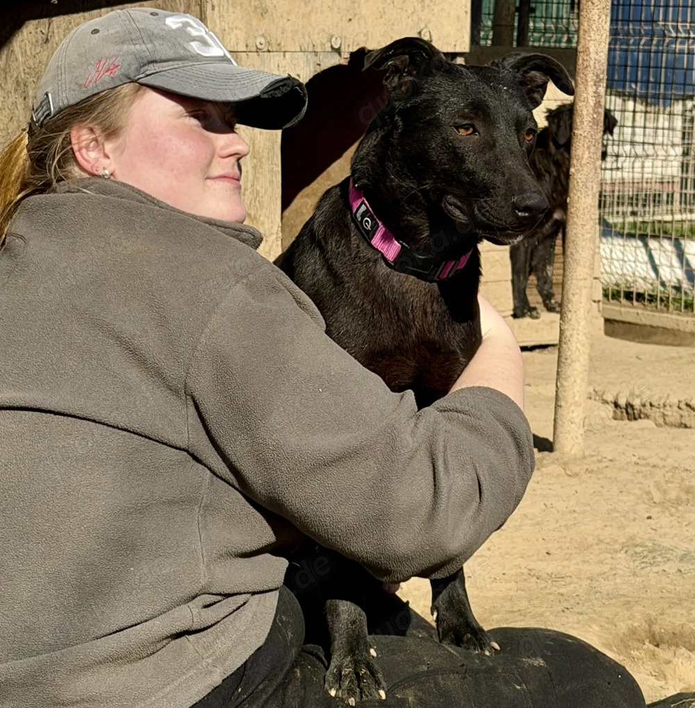 Viktoria , z. Zt. in Ungarn, ist ein typischer Welpe. 
