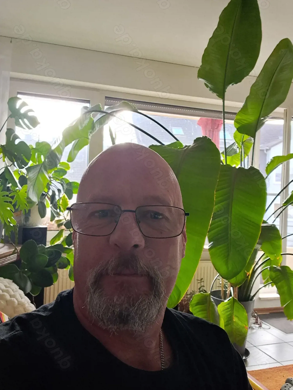 Hast Du W 65 + Lust auf Zweisamkeit  ? 