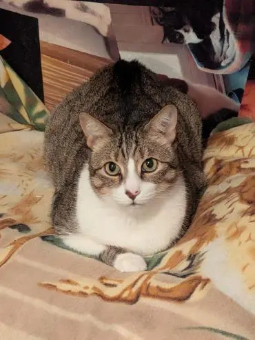 armer Knopf Miki in Essen (ALO)