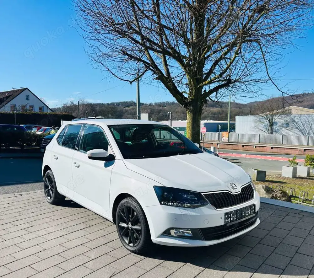 Skoda Fabia Joy *DSG-Autom., Navi, RFK, Klimaaut.,*